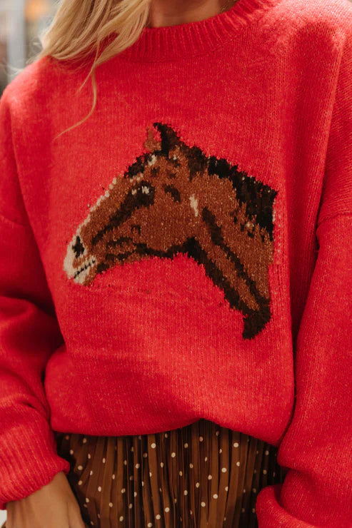 Wild Mustang Sweater